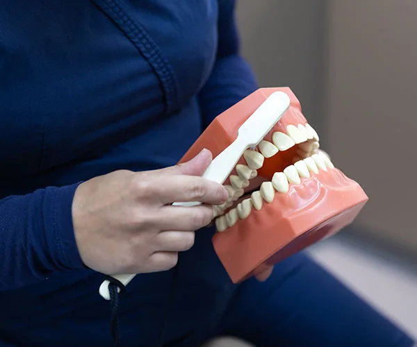 Oral hygiene being demonstrated with a dental model on the client’s hygiene page
